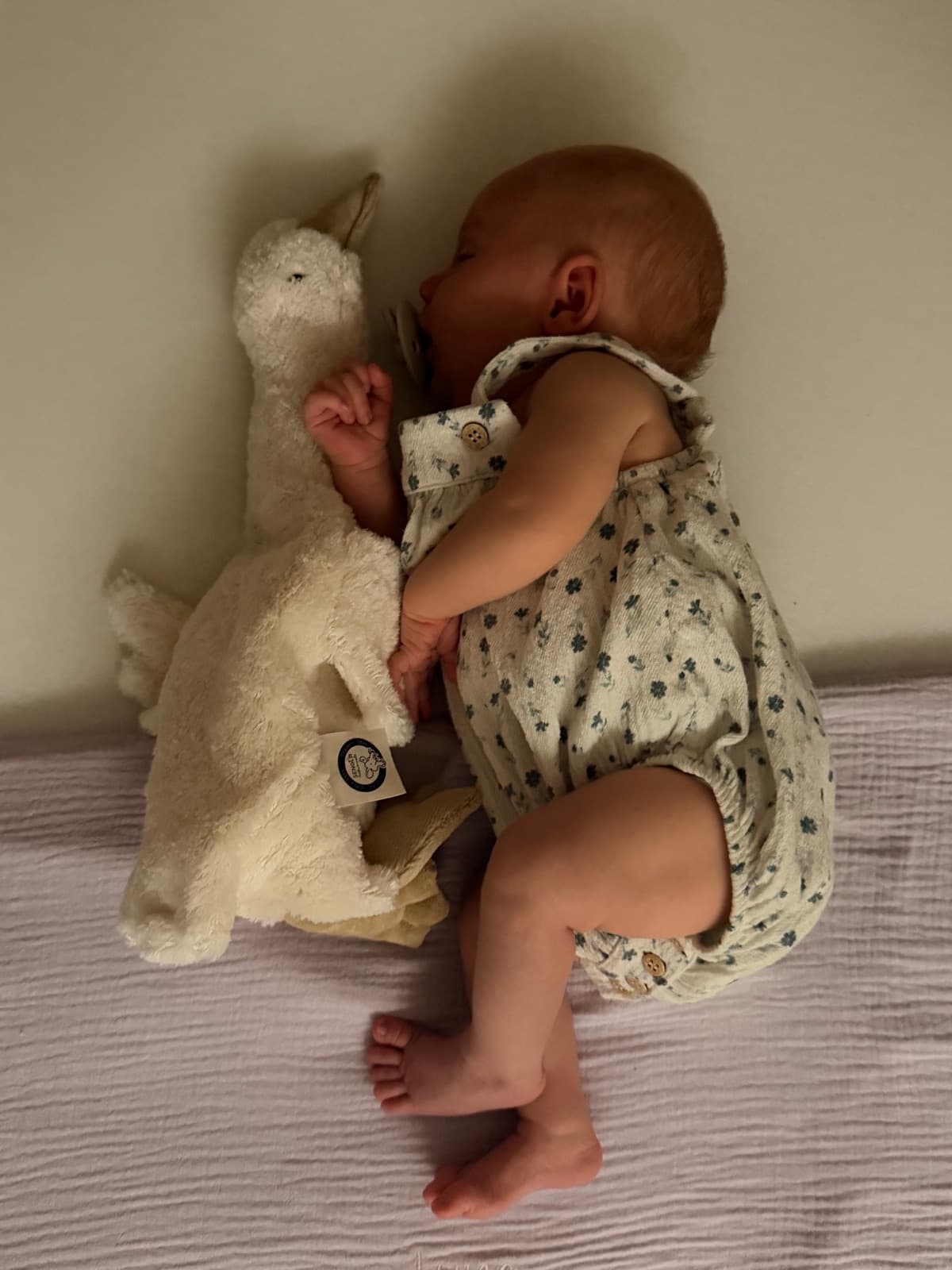 Foto van Luna